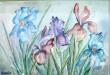 Les Iris