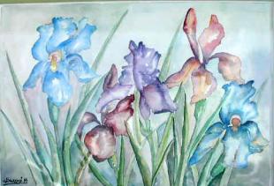 Les Iris